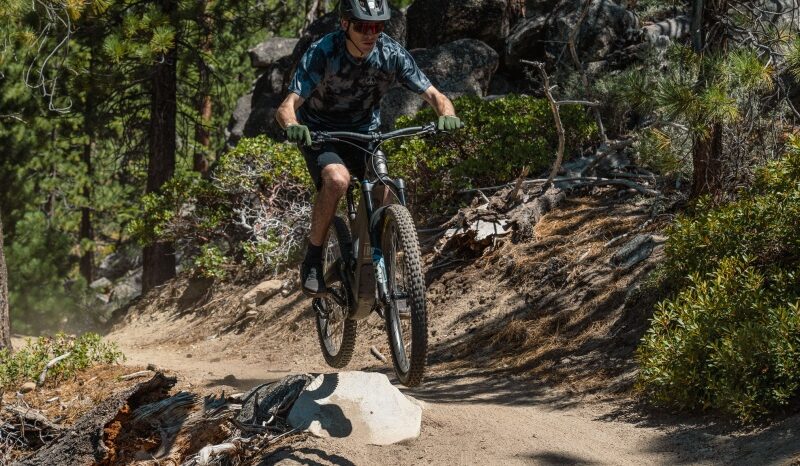 8 Best Electric Bikes for Forest Trails in 2026